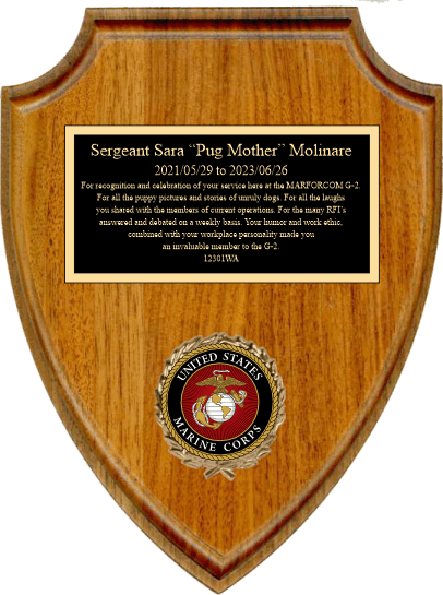 Arrowhead Walnut Shield