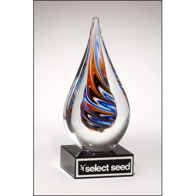 Teardrop-Shaped Art Glass Award