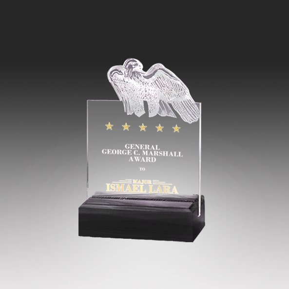 Customizable Acrylic Award