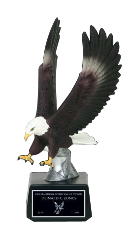 10" Striking Full Color Eagle Resin