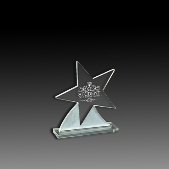 Acrylic Shooting Star Award