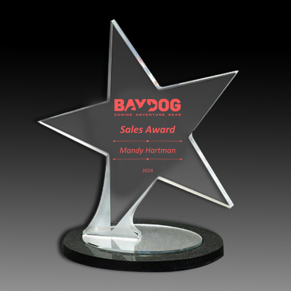 Acrylic Star on Black and Mirror Oval Base