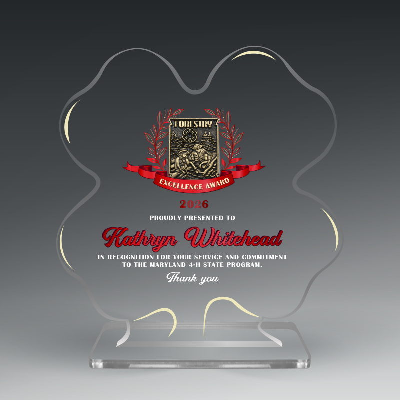 Custom Cut Acrylic Award