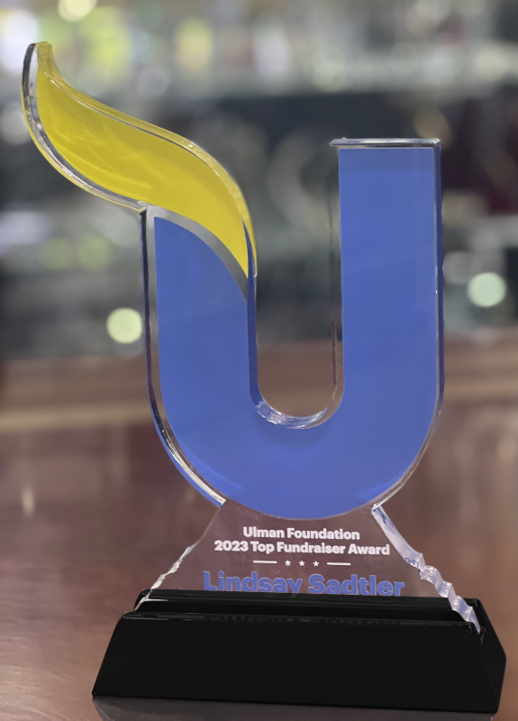 Custom Shape Clear Acrylic in Piano Finish Base