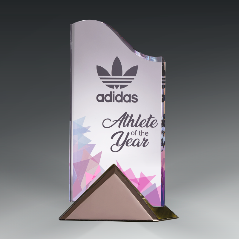 Adidas 'Athlete of the Year' award with colorful design on a gray background