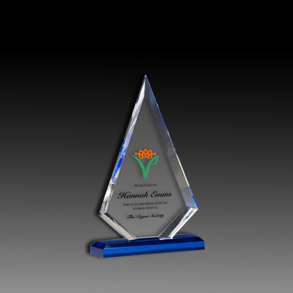 Arrow Series Award with Blue Highlights