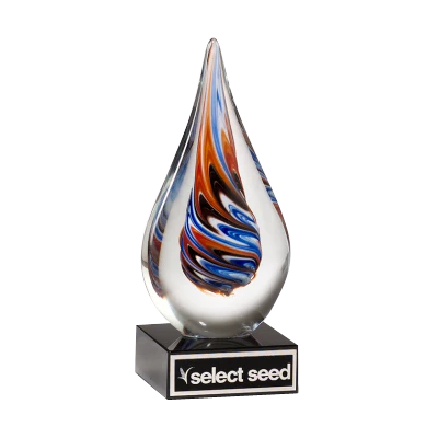 Teardrop-Shaped Art Glass Award