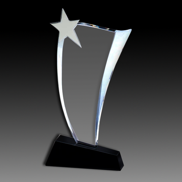 Crystal Wave with Silver Star