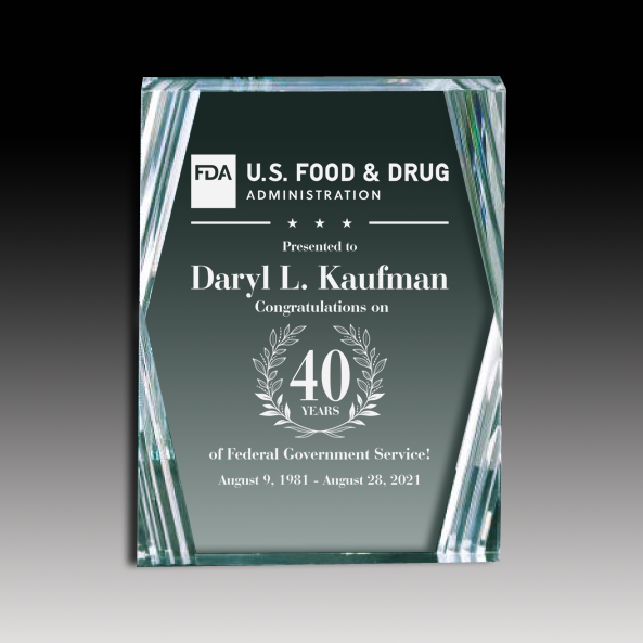 6" x 8" Desk Award