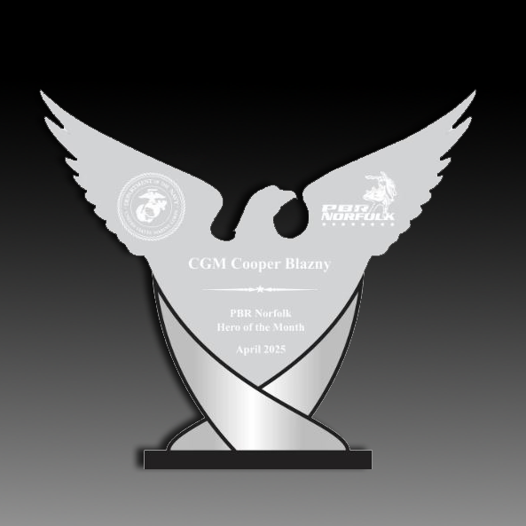 10"H x 11"W Acrylic Eagle Swoosh with mirror accents
