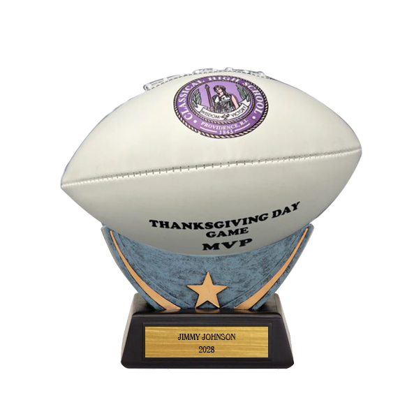 FULL SIZED SPORTS BALL WITH FULL COLOR IMPRINT