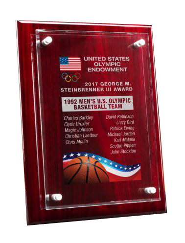 Piano Finish Floating Glass Plaque. Will Hang or Stand