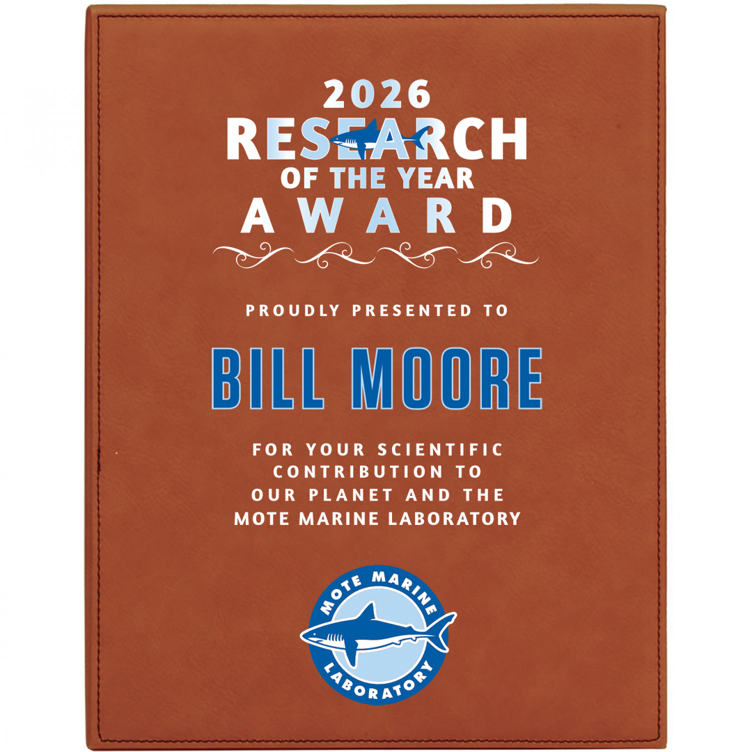 Leatherette Plaque - Black