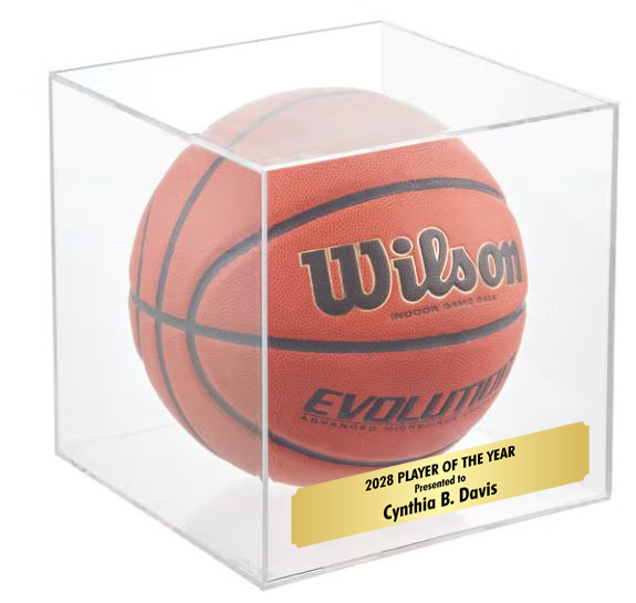 Clear Display Case