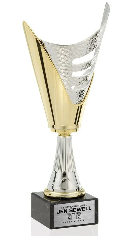 Gold and Silver Value Cup
