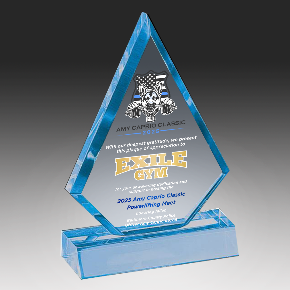 Acrylic Triangle Award