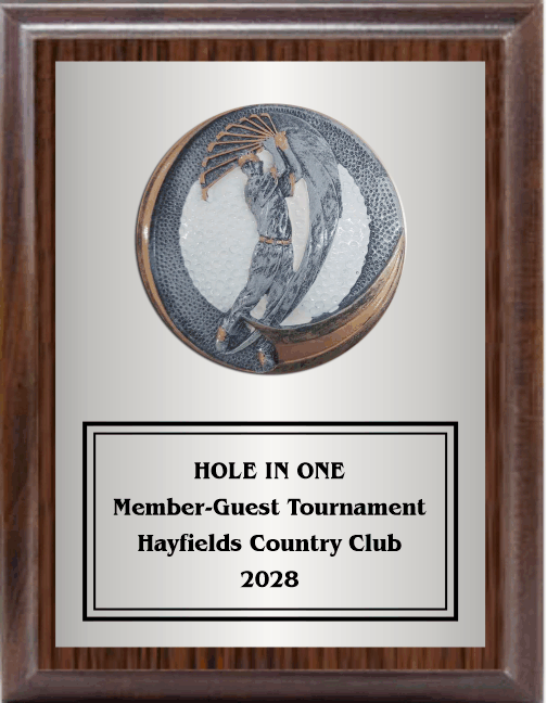 7"X9" PLAQUE WITH FULL PLATE AND GOLF SWING PLAQUE MOUNT