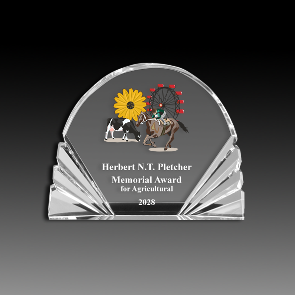 Bravo Fanfare Clear Acrylic Award