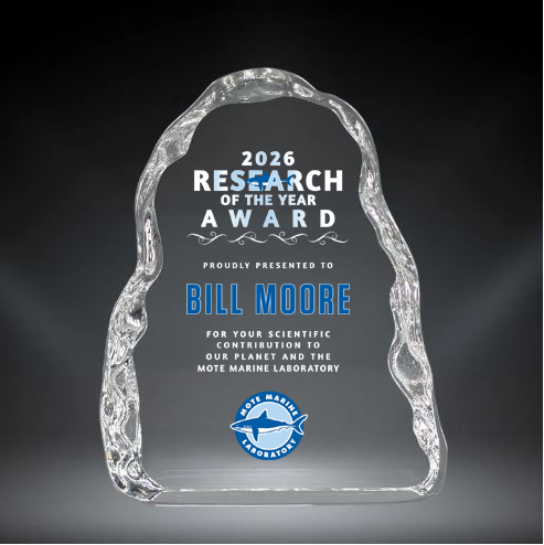 Ice Flow Crystal