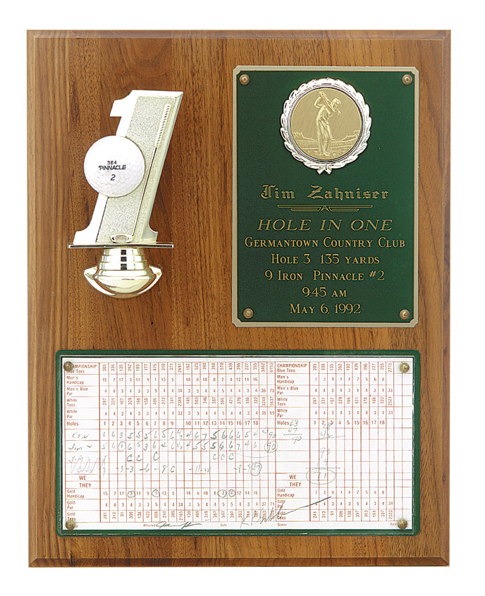 12" x 15" Hole in One Plaque with score card and ball mount