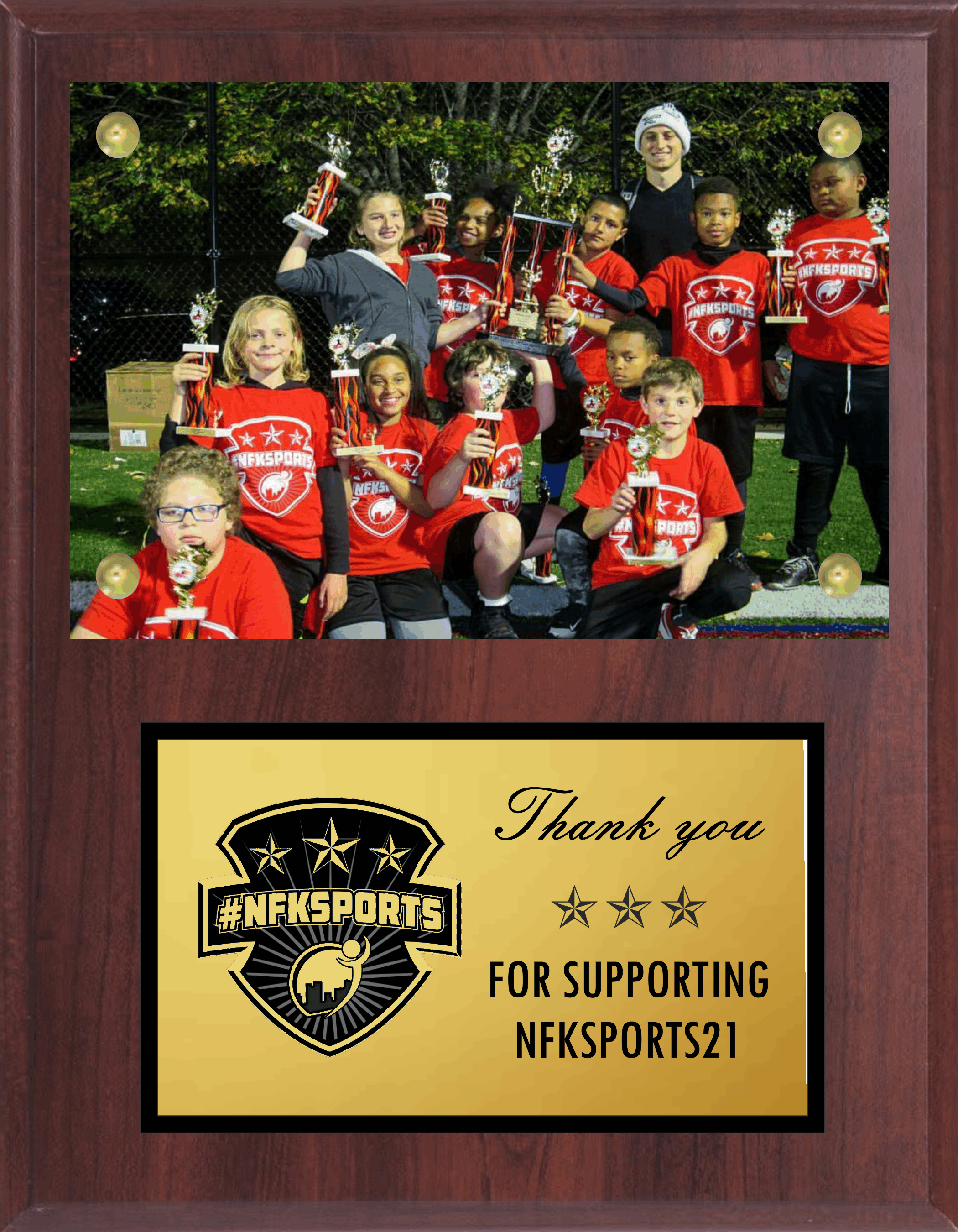 Simulated Walnut Plaque with Photo Plexi Mount