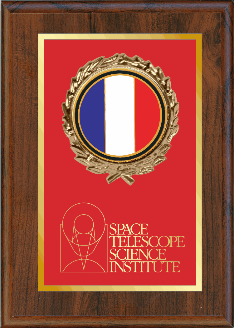 Plaque Mount on Simulated Walnut