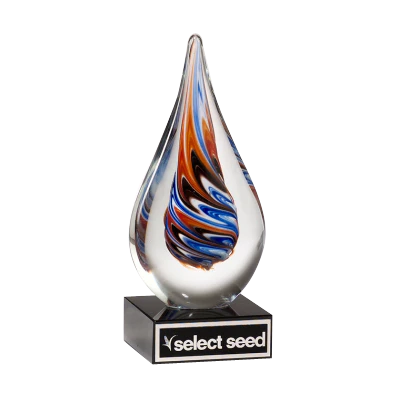 Teardrop-Shaped Art Glass Award