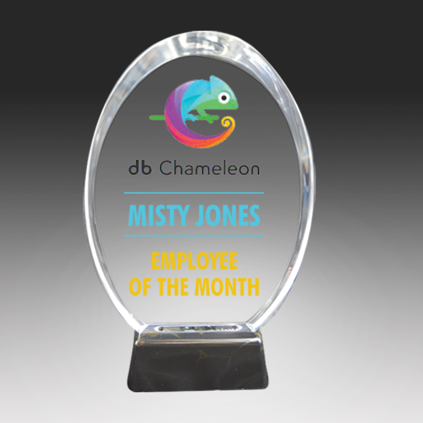 Acrylic award with 'db Chameleon' logo and text 'Misty Jones, Employee of the Month' on a dark background