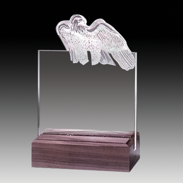 Customizable Acrylic Award