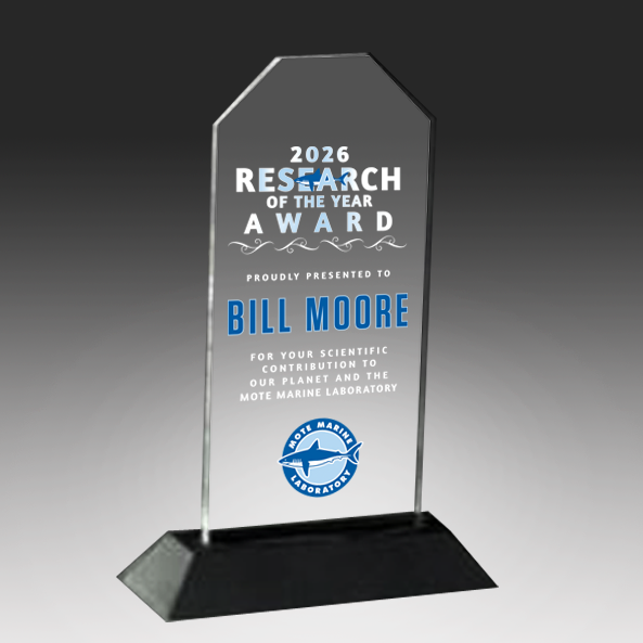Peak, Clipped, or Prism Acrylic Award