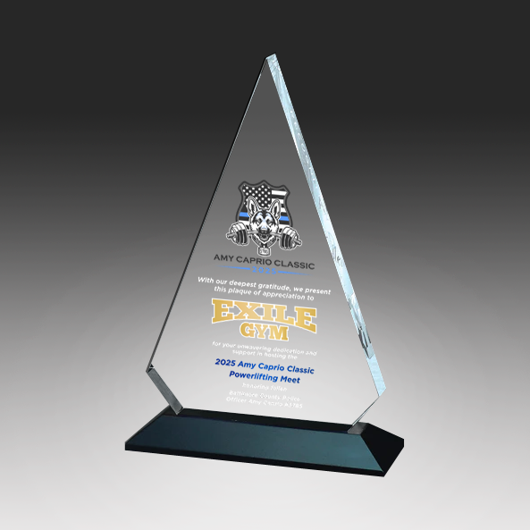 Acrylic triangle award with text and logo on a gray background in Norfolk, Virginia