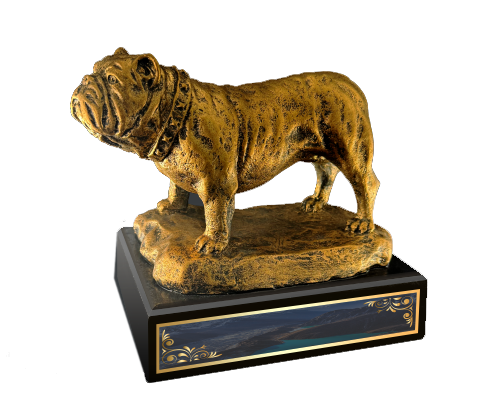 GOLD BULLDOG, 7" TALL on BLACK BASE