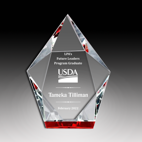 Multi-Faceted Crystal Hexagon