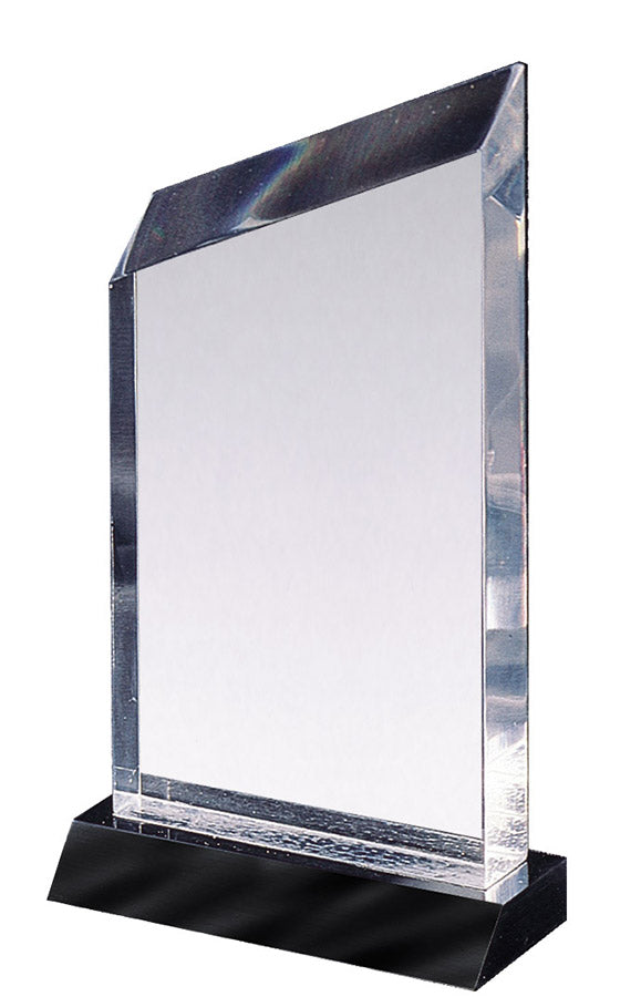 Acrylic Wedge Award