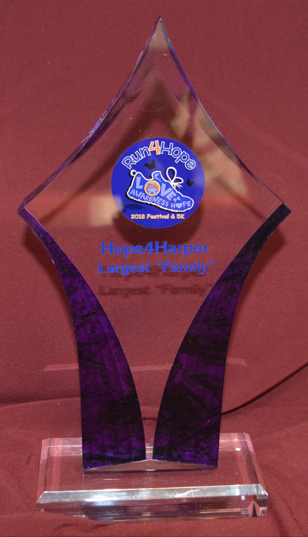 acrylic diamond award with a blue emblem in Virginia and Maryland