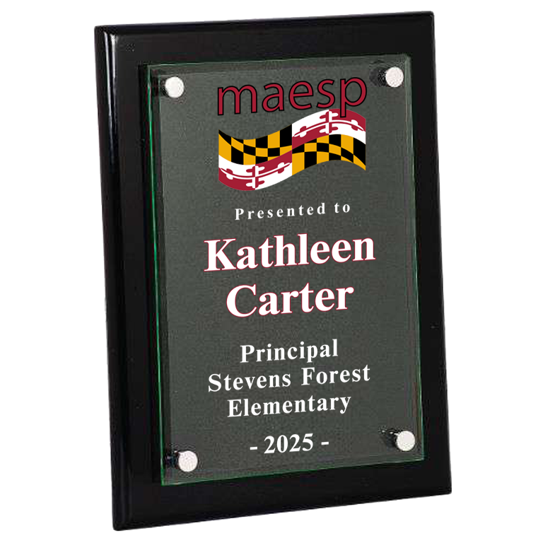 Piano Finish Floating Glass Plaque.  Will Hang or Stand