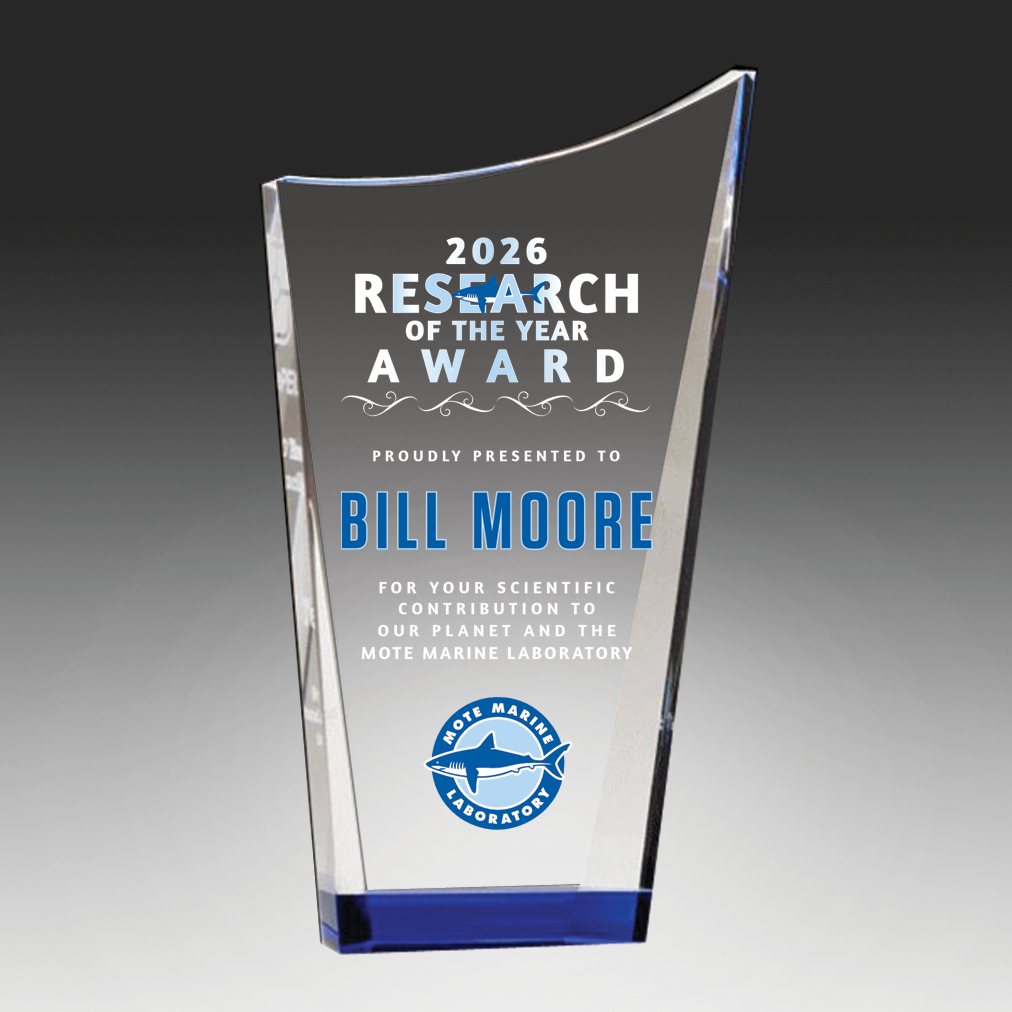 Contemporary Series Clear Crystal Award with Blue Accented Bottom