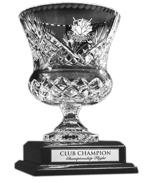 Lead Crystal Giant Vase, on black pianowood base