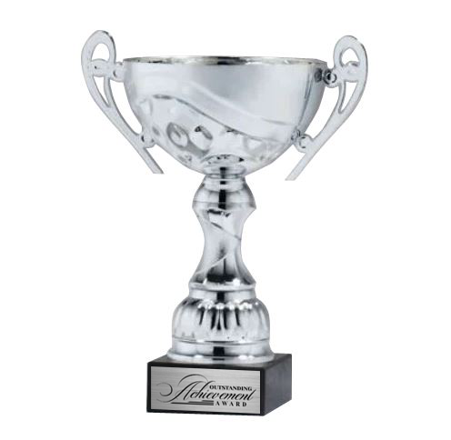 Silver Metal Cup on Marble Base