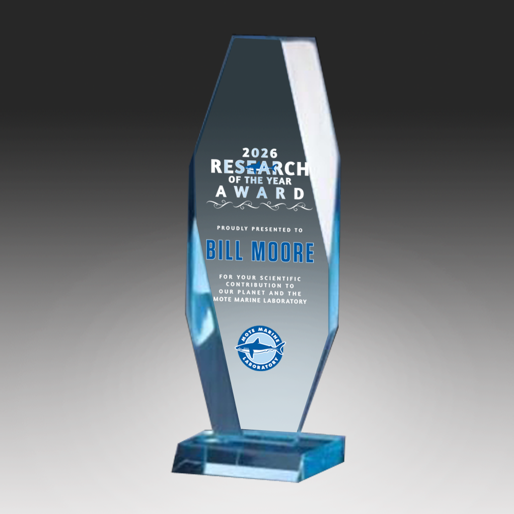 Acrylic Millennium Award