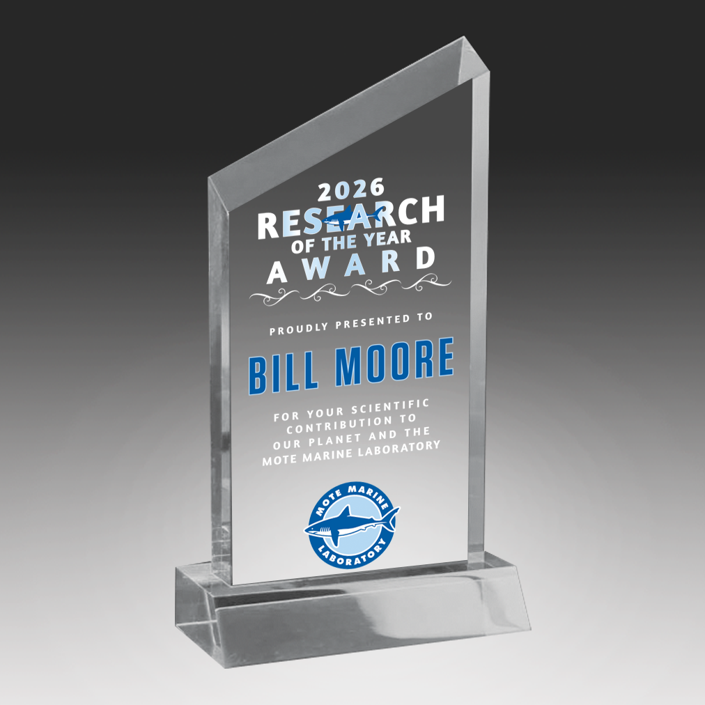 Acrylic Wedge Award