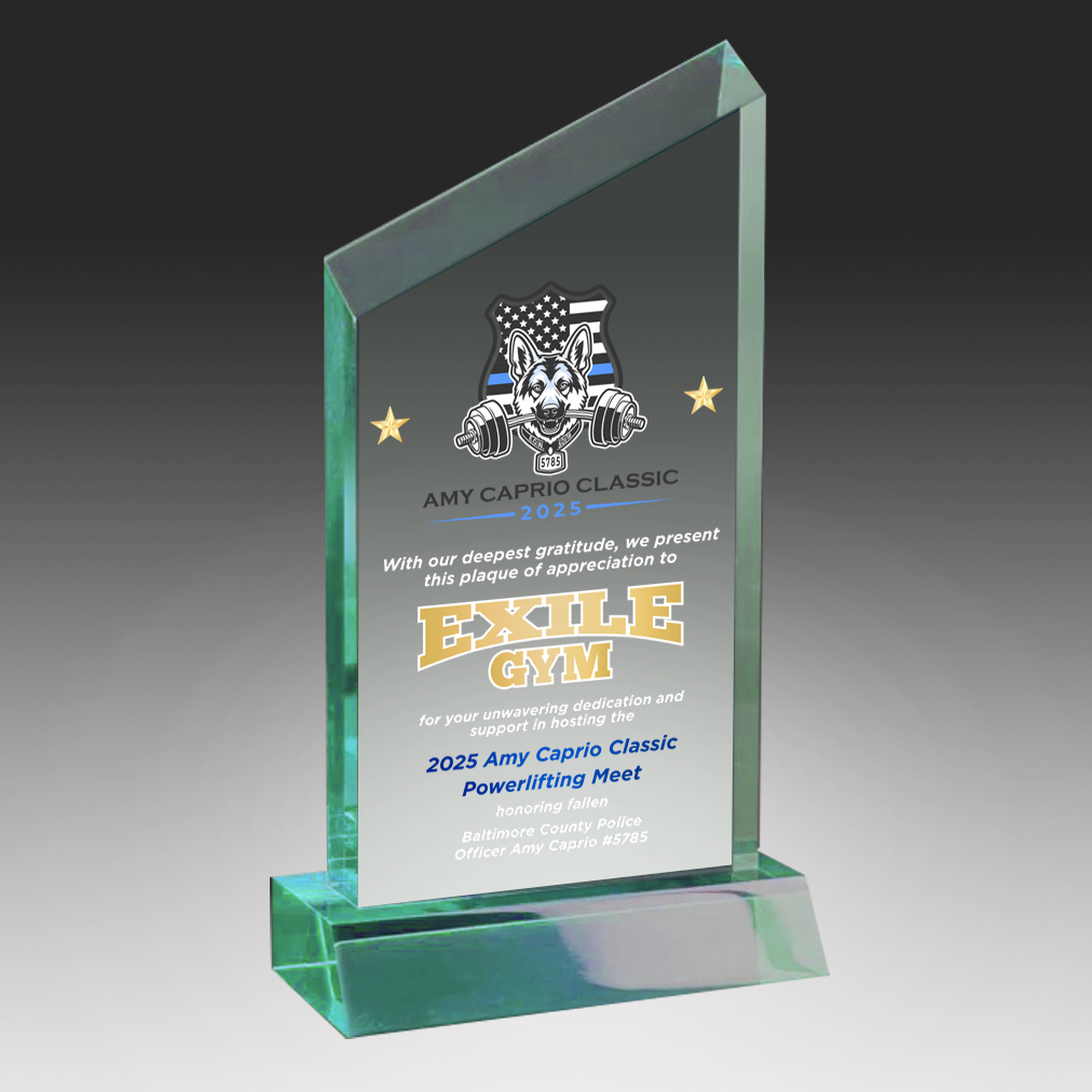 Acrylic Wedge Award