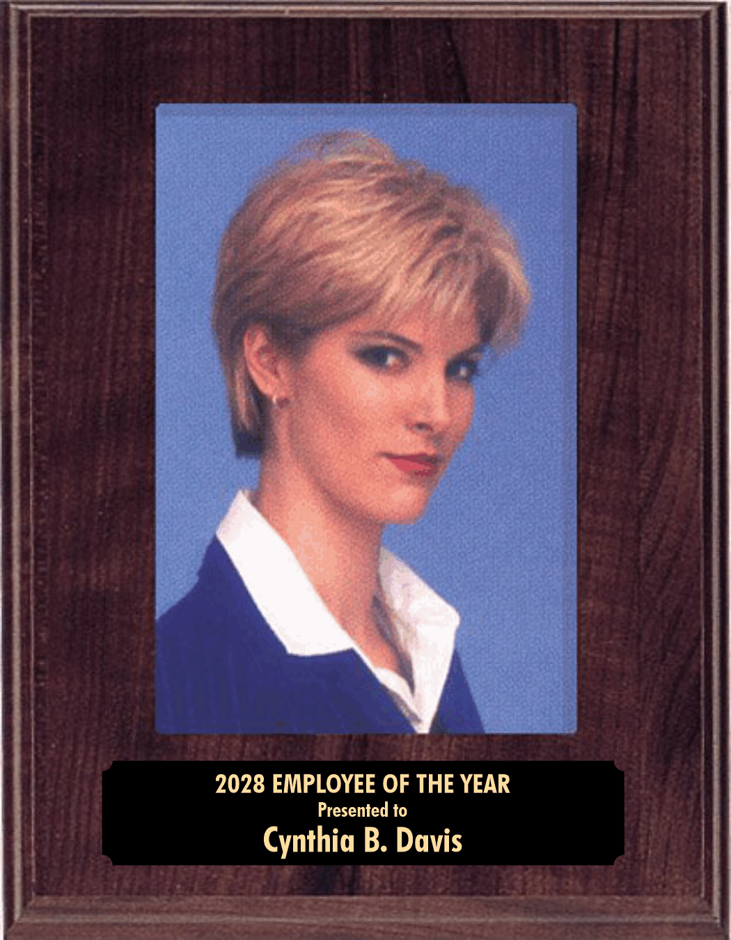 Slide in Picture Plaque