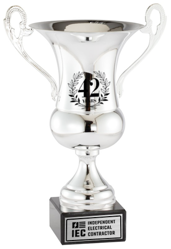 Silver Italian Cup