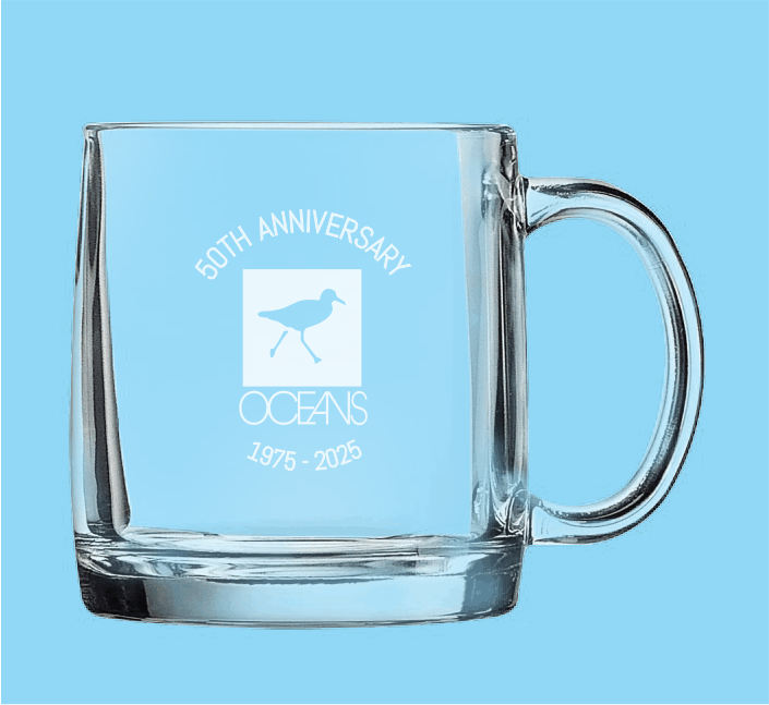 OCEANS 12 oz Engraved Clear Glass Mug