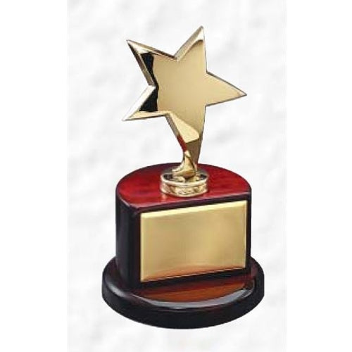 Modern Rosewood Star Award