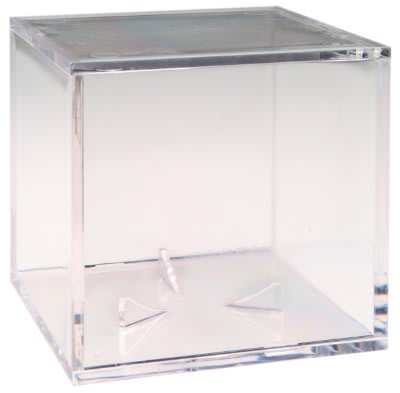 Clear Display Case
